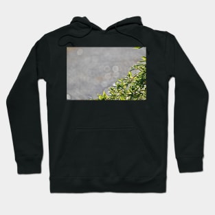 bamboo leaves border Hoodie